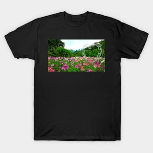 Vietnam - Champ de fleurs sur le plateau de Ha Giang T-Shirt